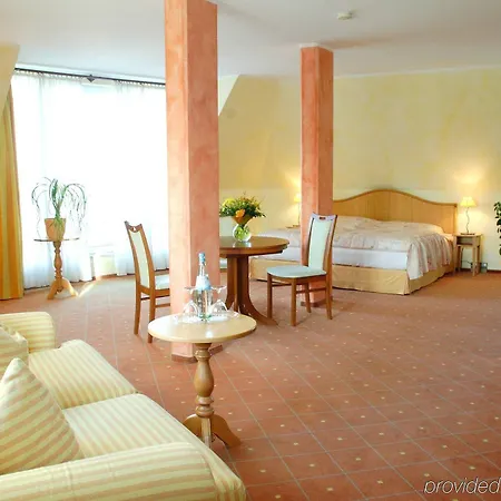 Ploener By Tulip Ploen